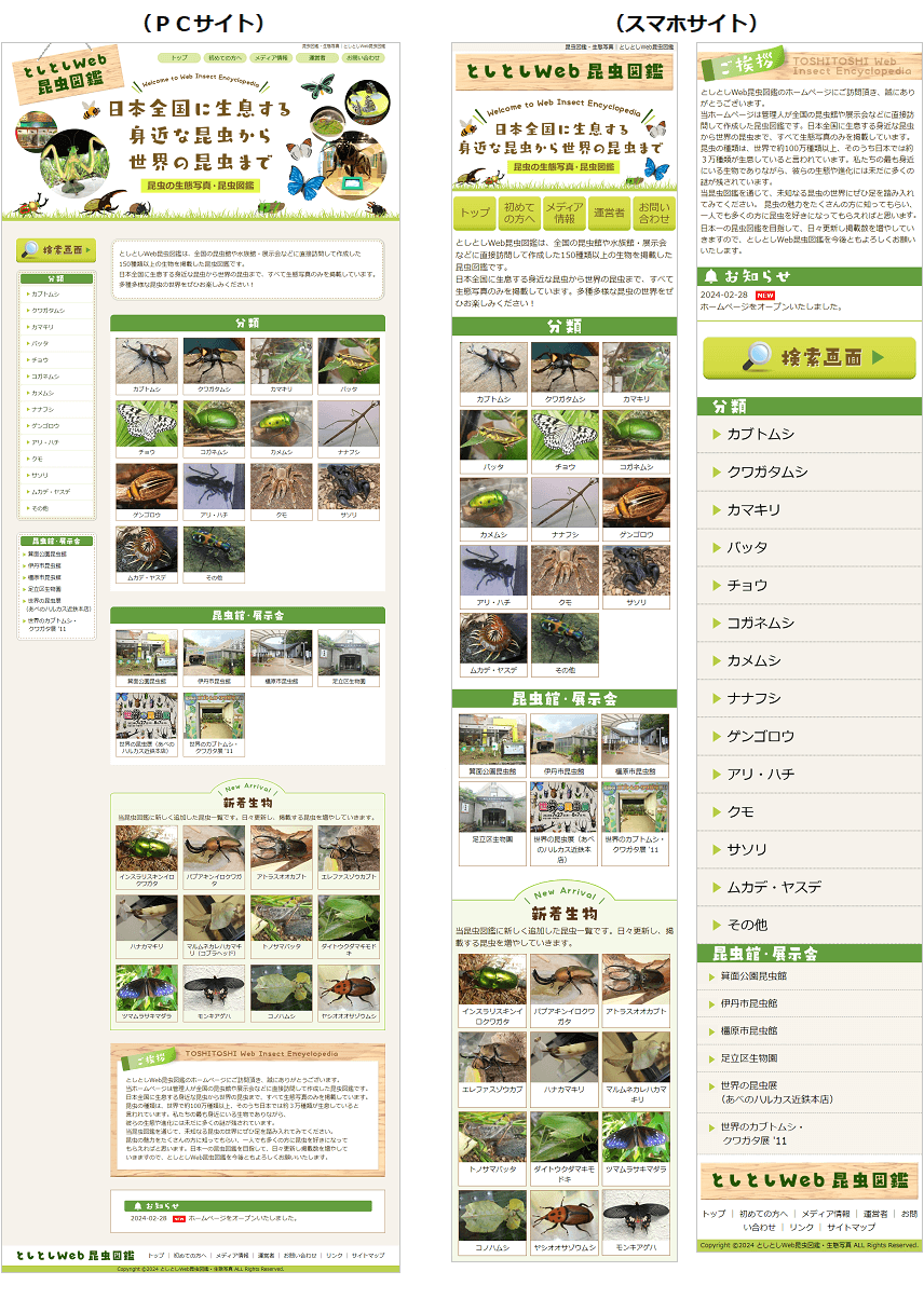図鑑サイト制作・図鑑ホームページ作成｜格安