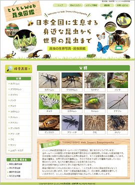 としとしWeb昆虫図鑑様